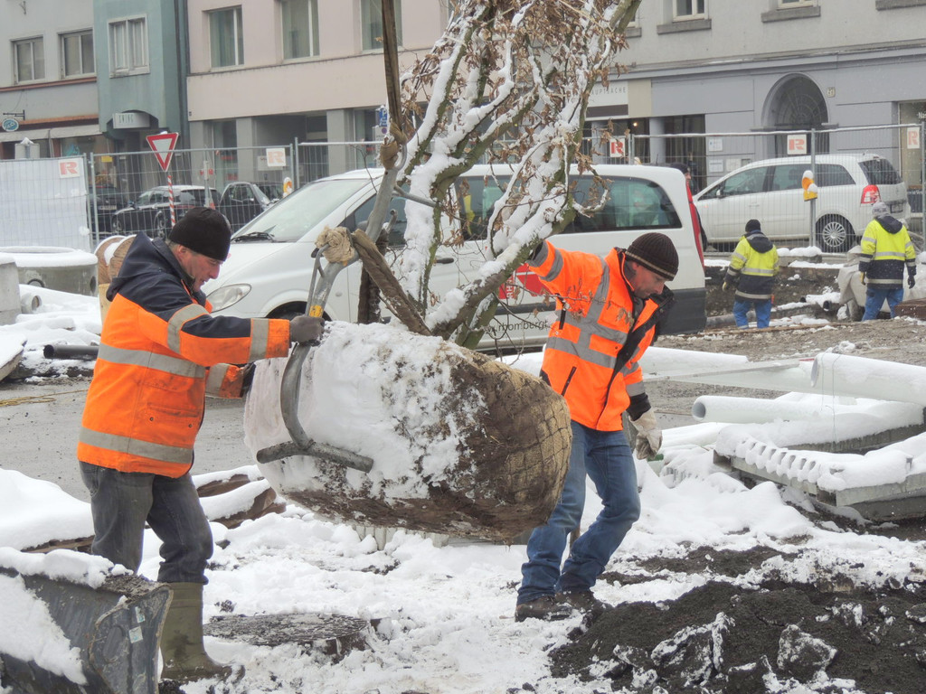 DSCN9135_JPG-1364462734