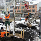 DSCN9149_JPG-1364462752