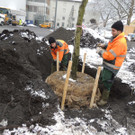 DSCN9157_JPG-1364462771