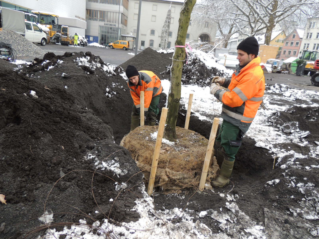 DSCN9157_JPG-1364462771