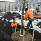 DSCN9144_JPG-1364462745