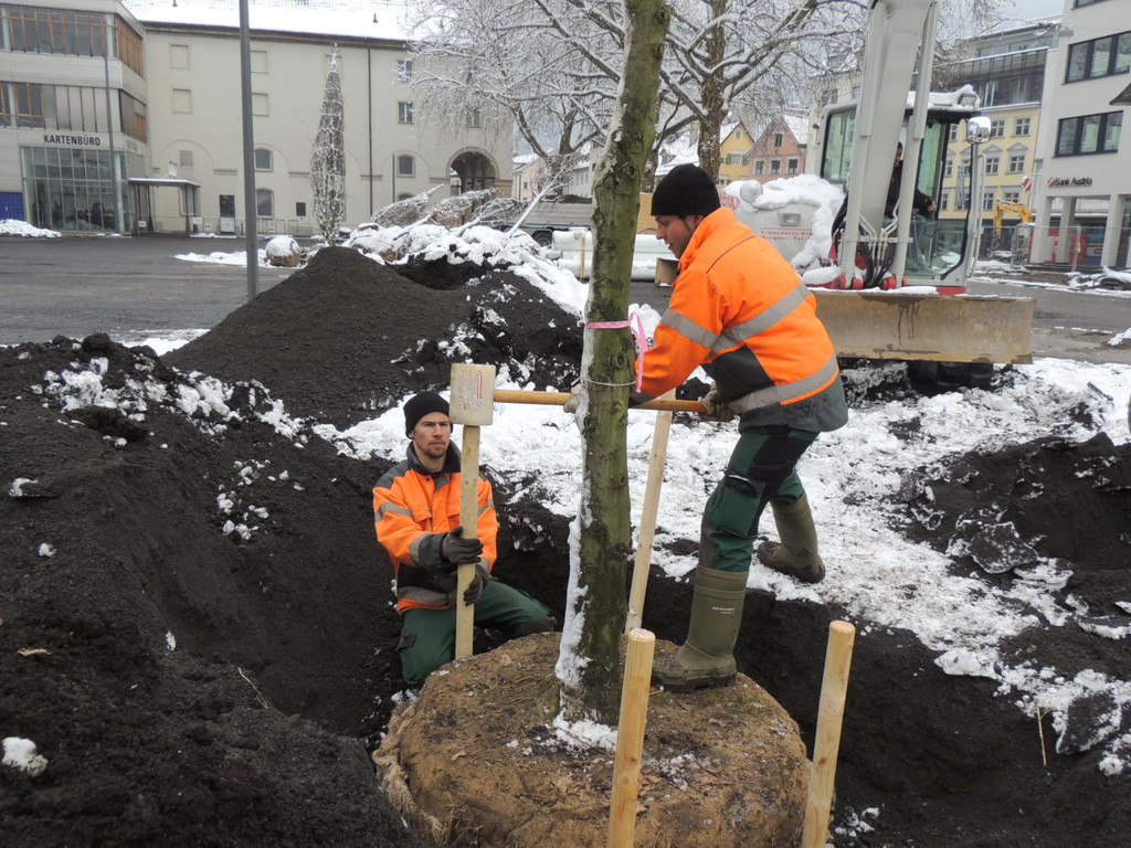 DSCN9144_JPG-1364462745