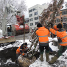 DSCN9154_JPG-1364462760