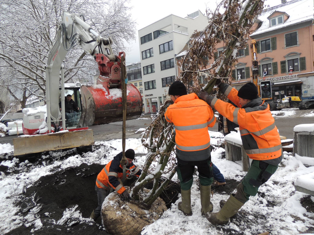 DSCN9154_JPG-1364462760