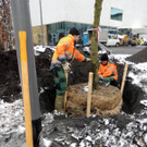 DSCN9158_JPG-1364462774