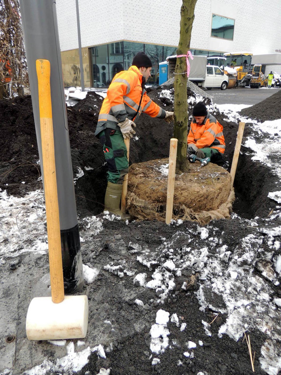 DSCN9158_JPG-1364462774