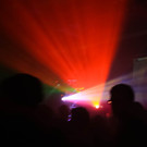 8965168.jpg