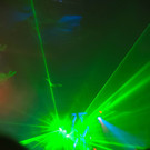 8965127.jpg