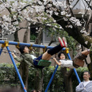 IBD0160-20130329.jpg
