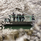 IBD0260-20130324.jpg