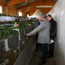 normal_30032013fmt_kleintiere_ta_023.JPG