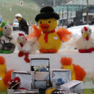 BK_Ostermarkt_Feldkirch-10_jpg-1364662993