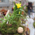 BK_Ostermarkt_Feldkirch-34_jpg-1364663197