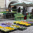 BK_Ostermarkt_Feldkirch-51_jpg-1364663384