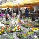 BK_Ostermarkt_Feldkirch-53_jpg-1364663414