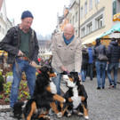 BK_Ostermarkt_Feldkirch-60_jpg-1364663489