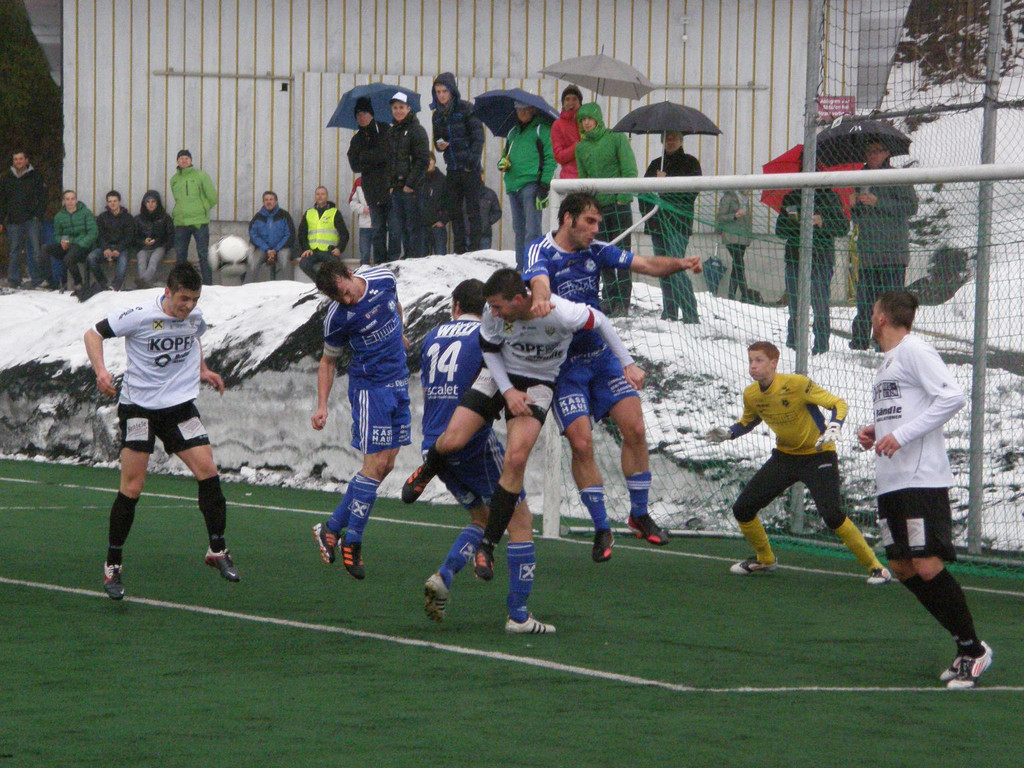 P3300074_JPG-1364739540