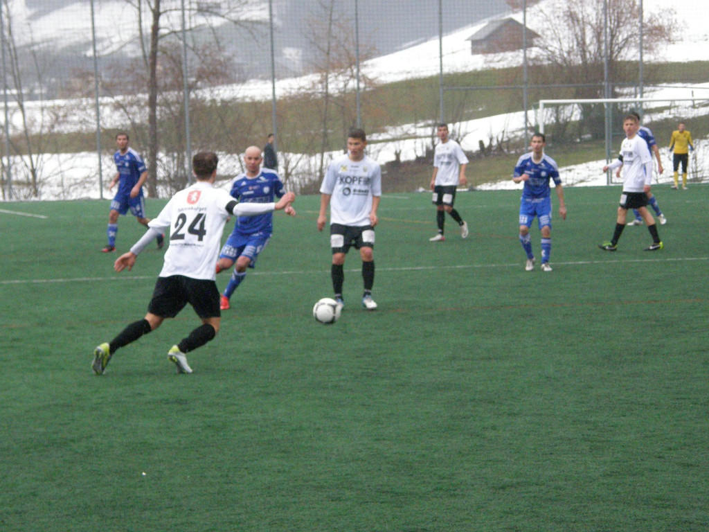 P3300087_JPG-1364739560