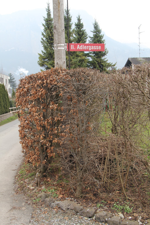Aldergasse1_jpg-1364749533