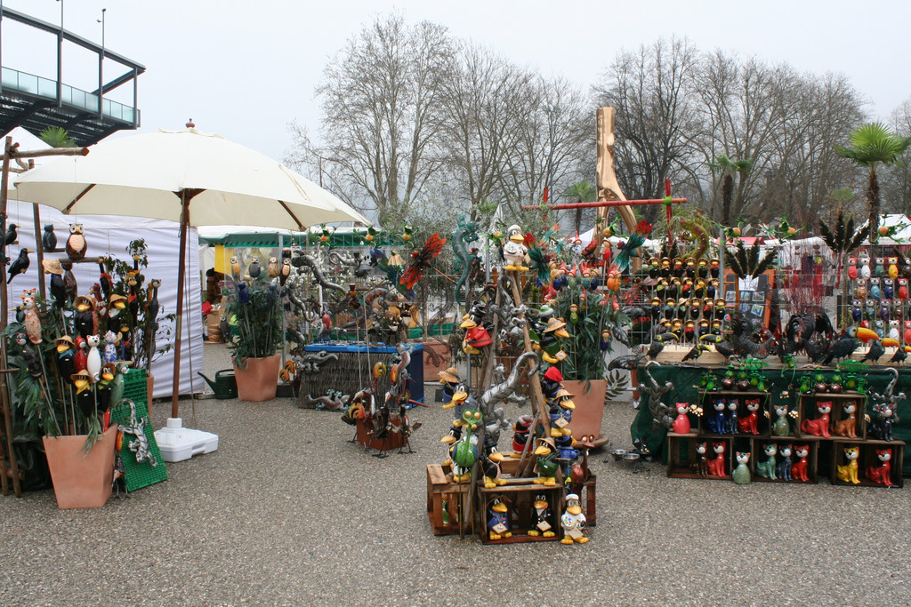 IMG_6041_JPG-1364803366