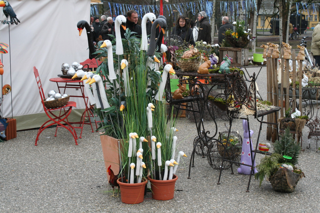 IMG_6042_JPG-1364803385