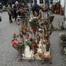 IMG_6044_JPG-1364803426