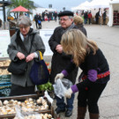 IMG_6046_JPG-1364803458