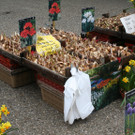 IMG_6047_JPG-1364803479