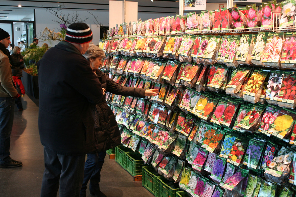 IMG_6049_JPG-1364803513