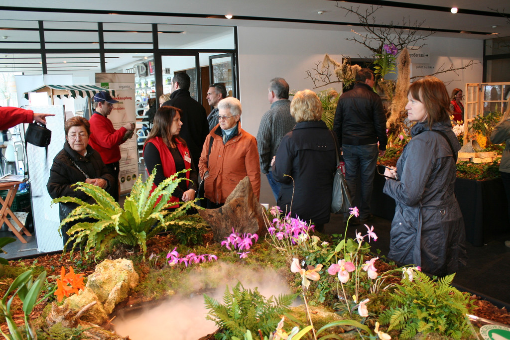 IMG_6050_JPG-1364803530