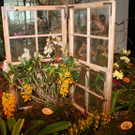 IMG_6053_JPG-1364803561