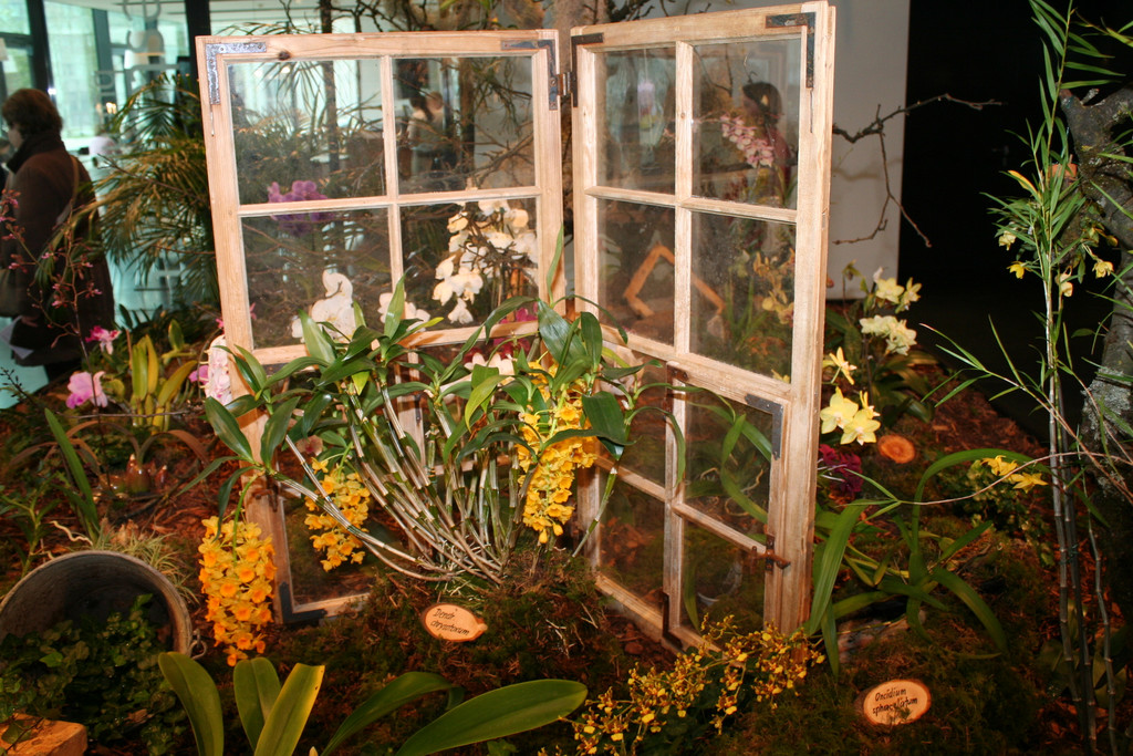 IMG_6053_JPG-1364803561