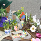 IMG_6059_JPG-1364803642