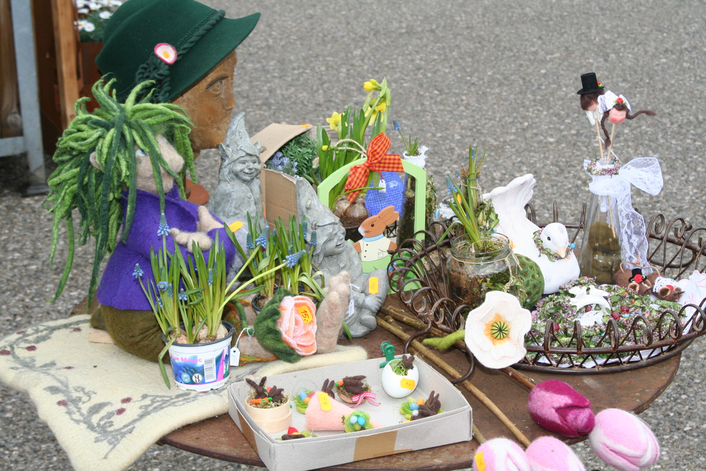 IMG_6059_JPG-1364803642