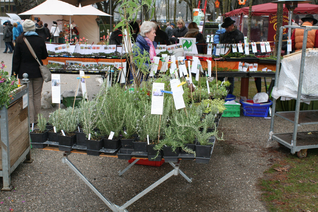 IMG_6067_JPG-1364803752