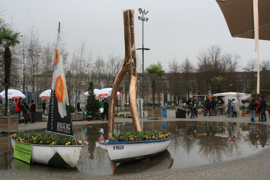 IMG_6081_JPG-1364803925