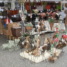 IMG_6082_JPG-1364803946