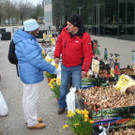 IMG_6085_JPG-1364803991