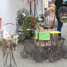 IMG_6089_JPG-1364804061