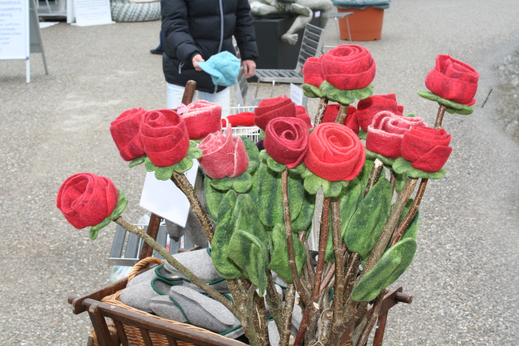 IMG_6091_JPG-1364804093