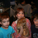 IMG_6266_JPG-1364810360