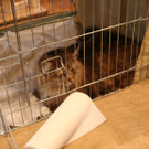 IMG_6246_JPG-1364810273
