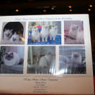 IMG_6253_JPG-1364810328