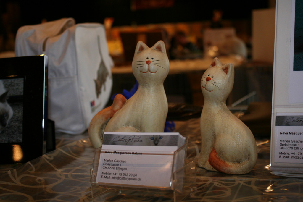 IMG_6320_JPG-1364810614