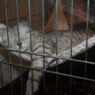 IMG_6338_JPG-1364810717