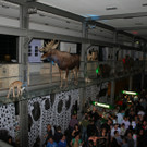 IMG_6232_JPG-1364815746