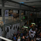 IMG_6233_JPG-1364815758