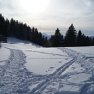 Am Schneiderkopf.JPG