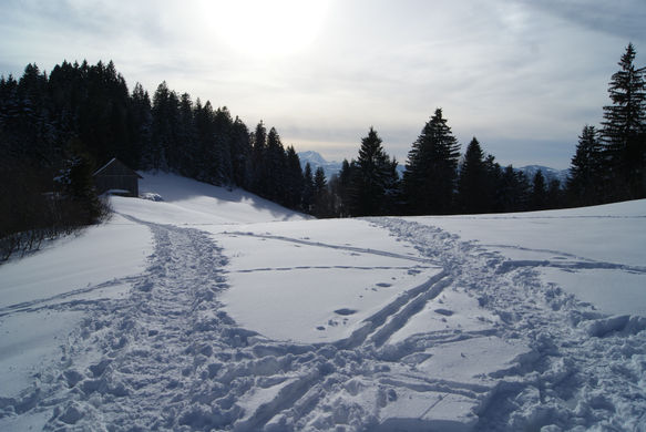 Am Schneiderkopf.JPG