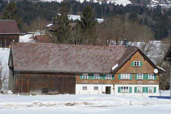 Bauernhaus Parz_ Risar.JPG